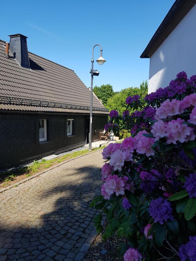 Pilgrims "Elfriede"- Freundliche Unterkunft Remblinghausen Екстериор снимка